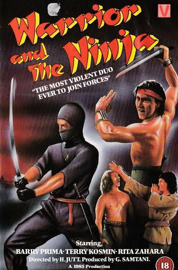 Warrior and the Ninja