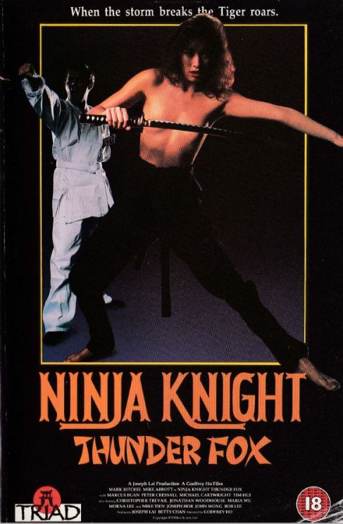 Ninja Knight 1
